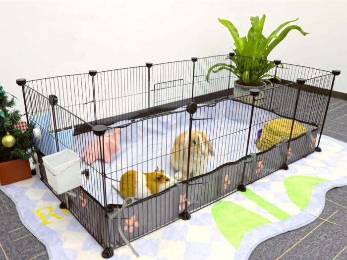 CHEGRON Guinea Pig Cages 8 Sq Ft Expandable C&C Cage Habitats